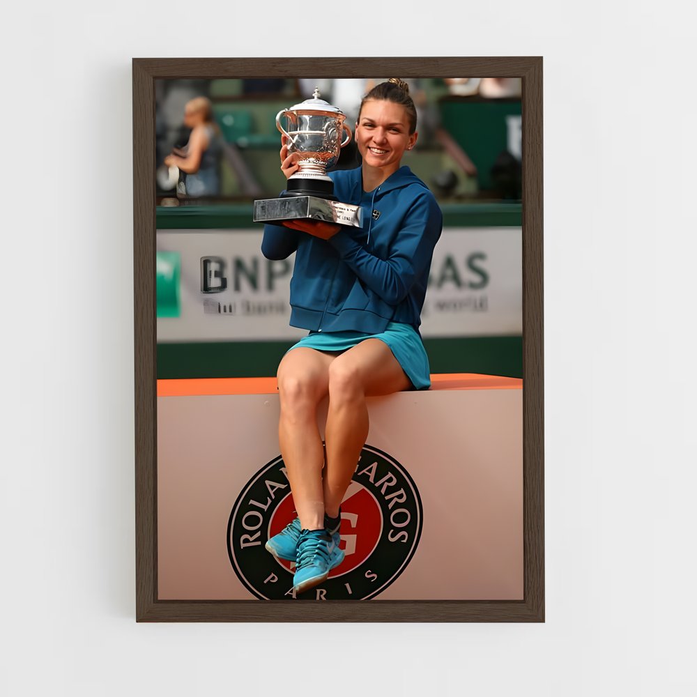 Poster Triomphe Sur Le Court – affiche Tennis (vue 5)